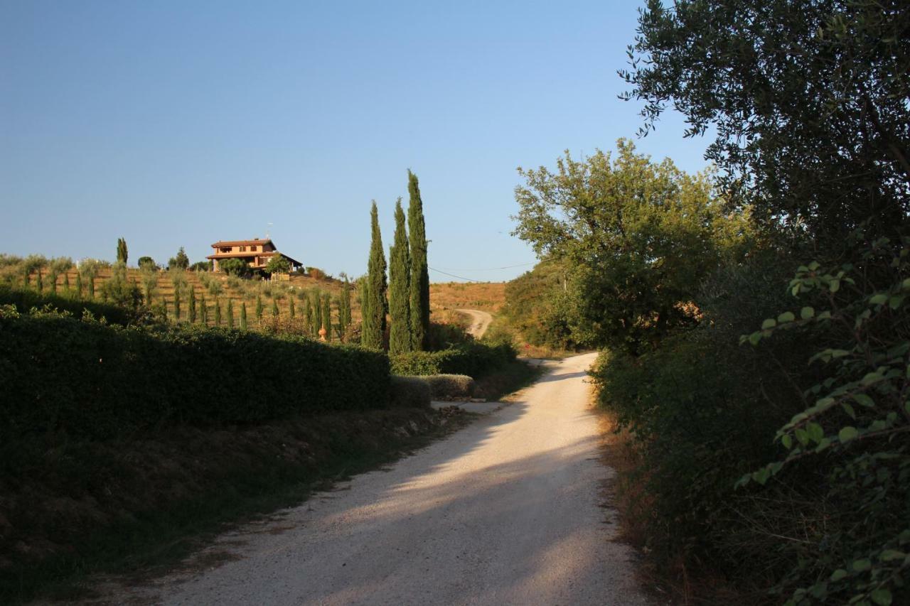 Maremma Che Vista! Apartment Campagnatico Exterior photo