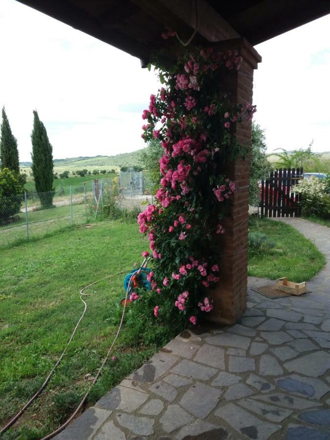 Maremma Che Vista! Apartment Campagnatico Exterior photo