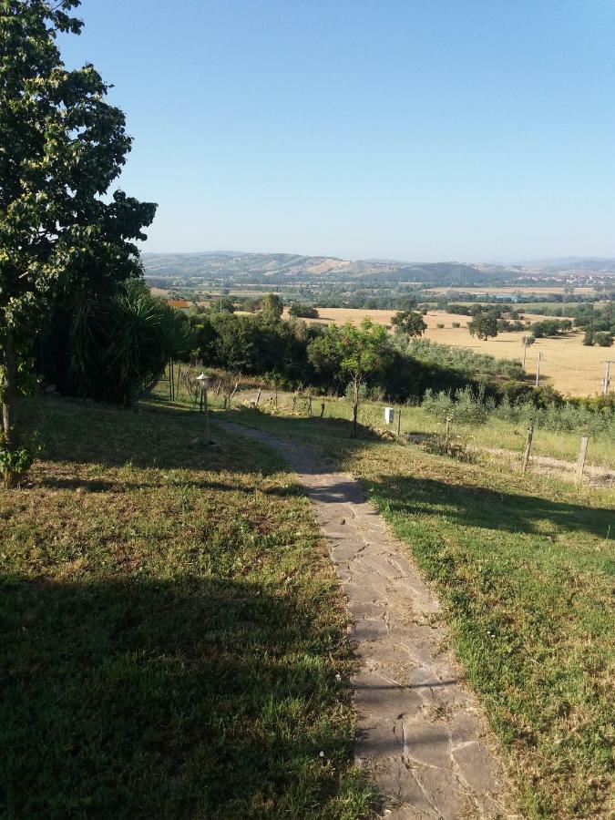 Maremma Che Vista! Apartment Campagnatico Exterior photo