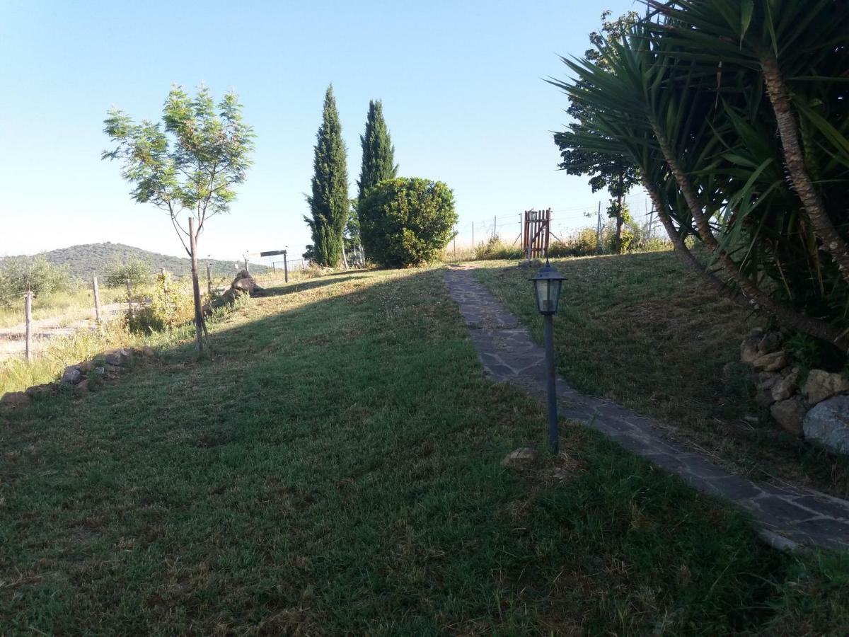 Maremma Che Vista! Apartment Campagnatico Exterior photo