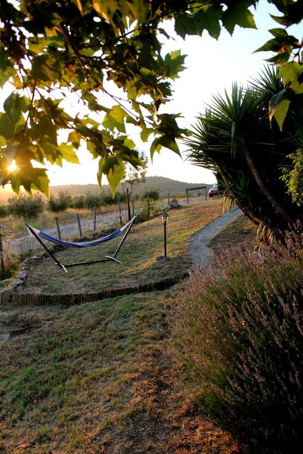 Maremma Che Vista! Apartment Campagnatico Exterior photo