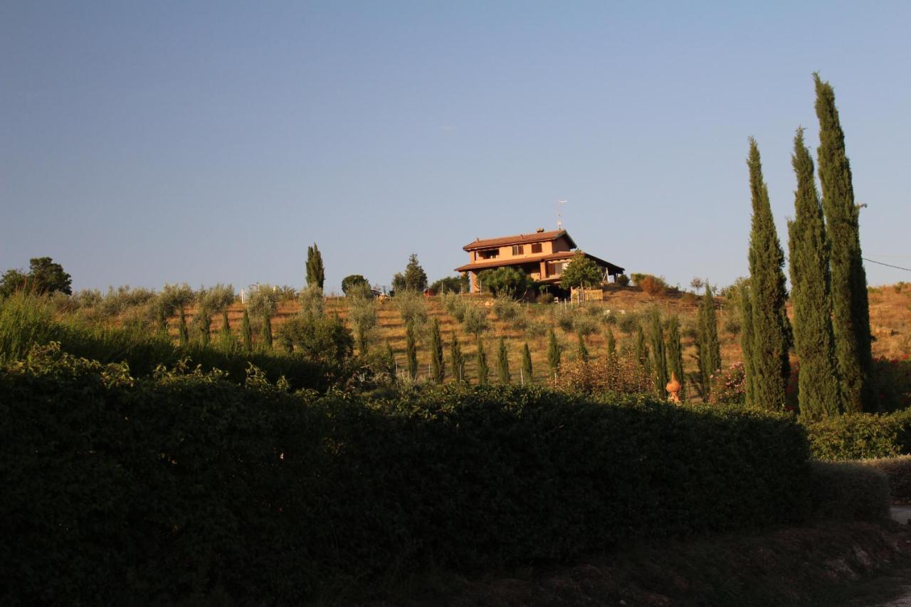 Maremma Che Vista! Apartment Campagnatico Exterior photo